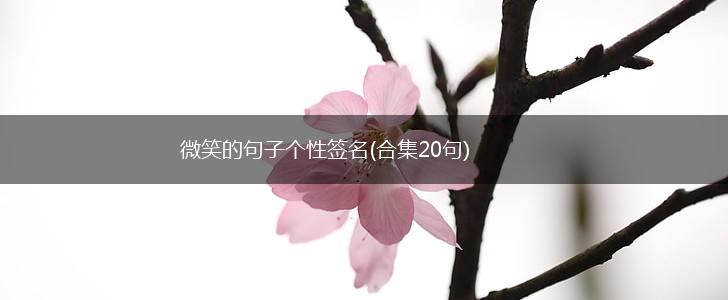 微笑的句子个性签名(合集20句),第1张