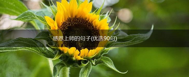 感恩上师的句子(优选90句),第1张