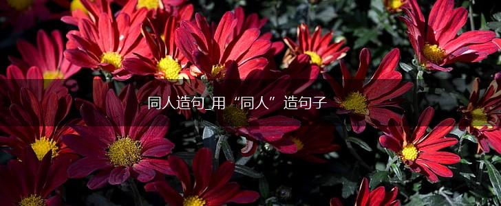 同人造句_用“同人”造句子,第1张