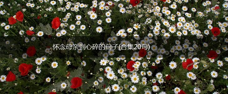 怀念母亲到心碎的句子(合集20句),第1张