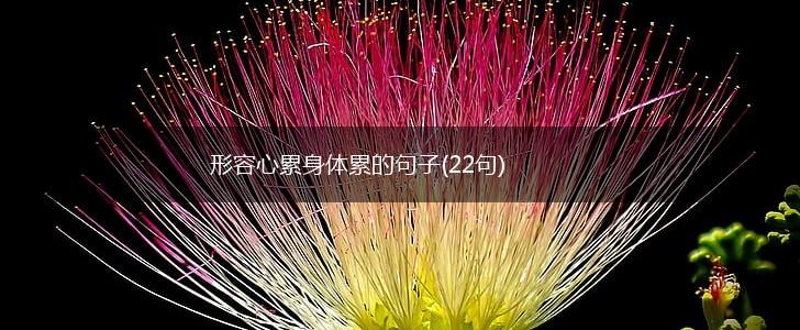 形容心累身体累的句子(22句),第1张