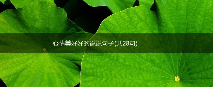 心情美好好的说说句子(共28句),第1张