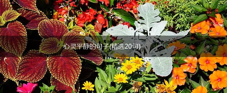 心灵平静的句子(精选20句),第1张