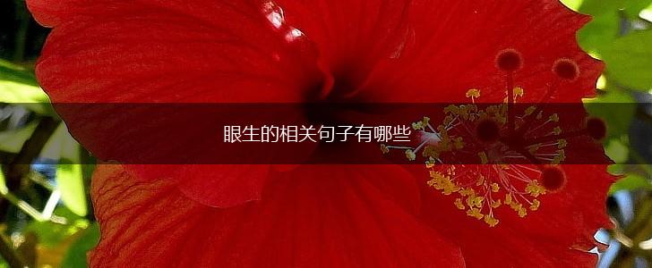 眼生的相关句子有哪些,第1张