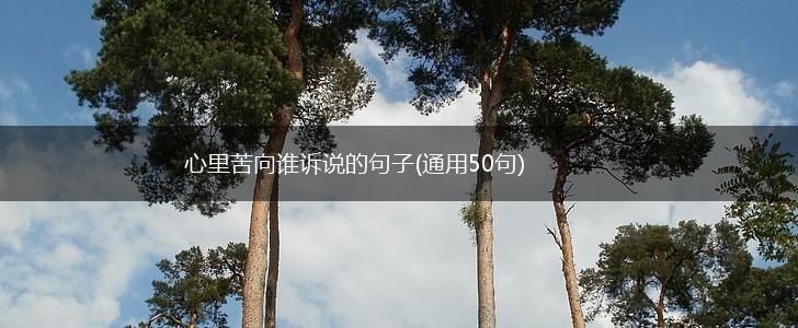 心里苦向谁诉说的句子(通用50句),第1张