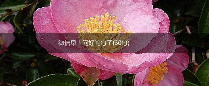 微信早上问好的句子(30句),第1张