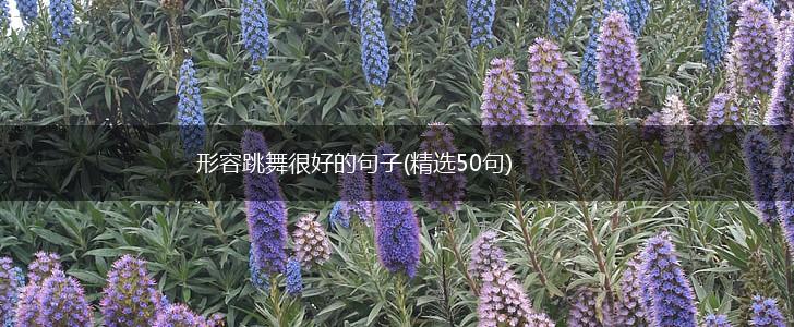 形容跳舞很好的句子(精选50句),第1张