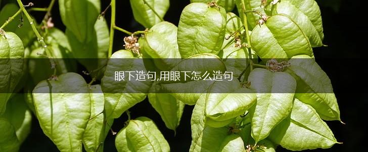 眼下造句,用眼下怎么造句,第1张
