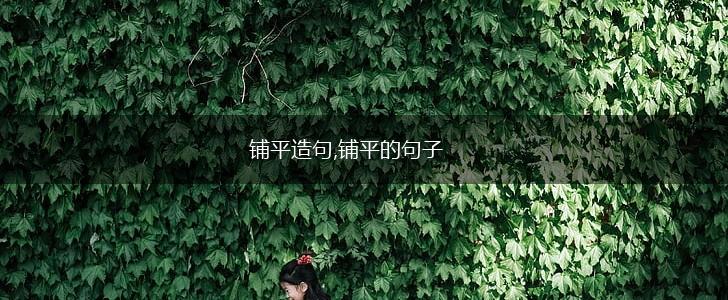 铺平造句,铺平的句子,第1张