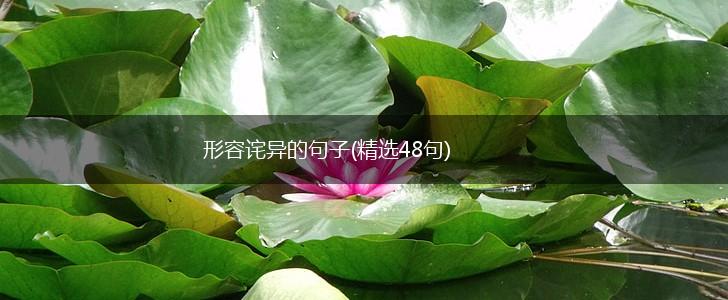 形容诧异的句子(精选48句),第1张