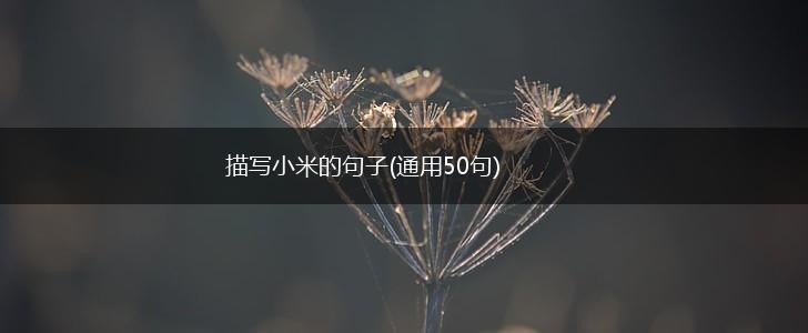 描写小米的句子(通用50句),第1张