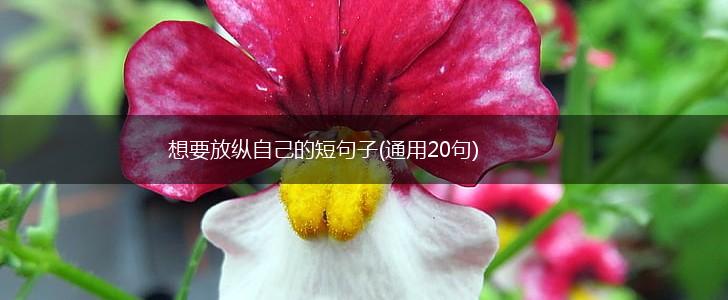 想要放纵自己的短句子(通用20句),第1张