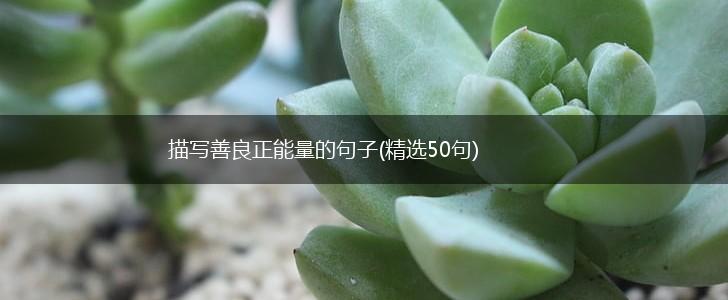 描写善良正能量的句子(精选50句),第1张