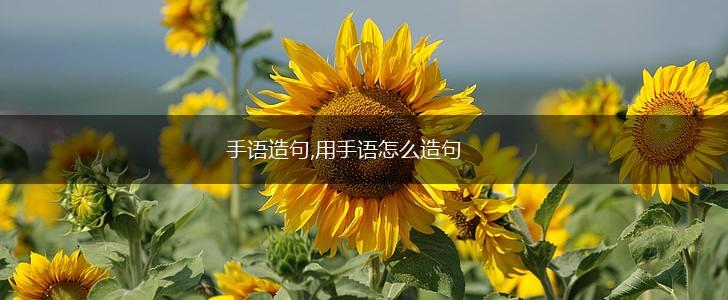 手语造句,用手语怎么造句,第1张