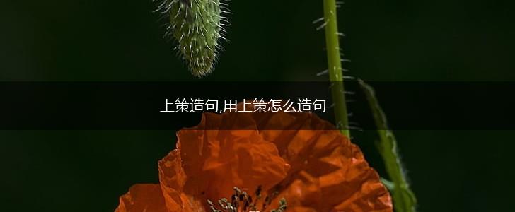 上策造句,用上策怎么造句,第1张