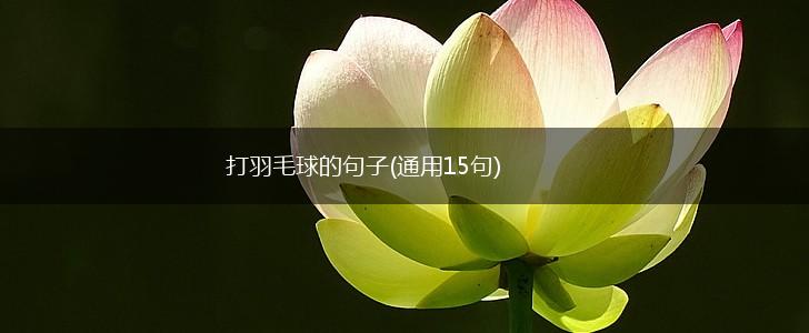 打羽毛球的句子(通用15句),第1张
