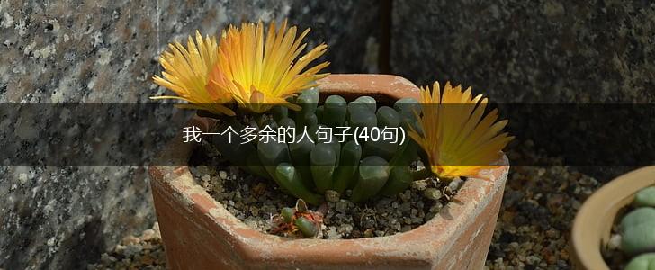 我一个多余的人句子(40句),第1张