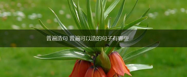 普遍造句 普遍可以造的句子有哪些,第1张