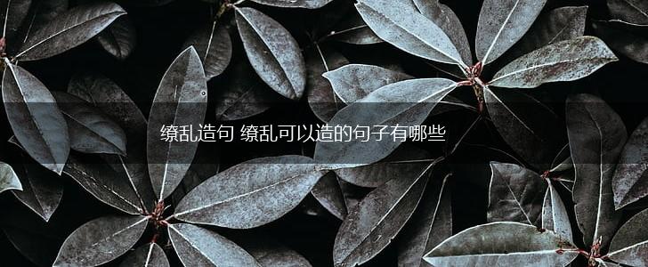 缭乱造句 缭乱可以造的句子有哪些,第1张