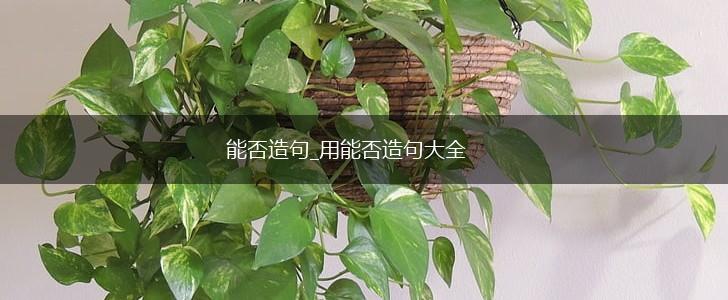 能否造句_用能否造句大全,第1张