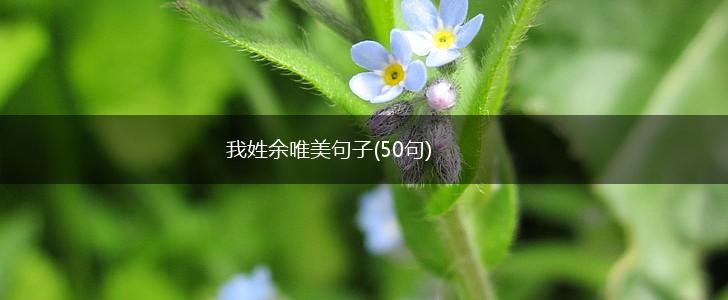 我姓余唯美句子(50句),第1张