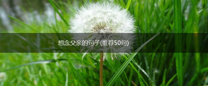 想念父亲的句子(推荐50句),第1张