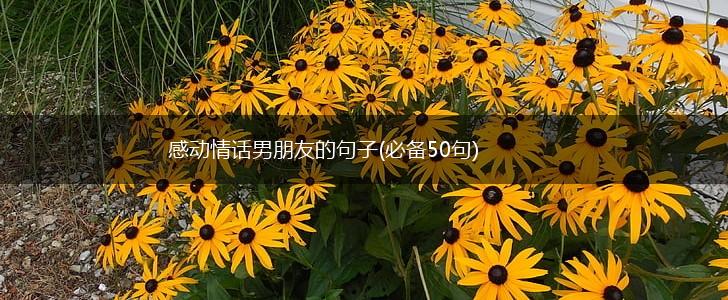 感动情话男朋友的句子(必备50句),第1张