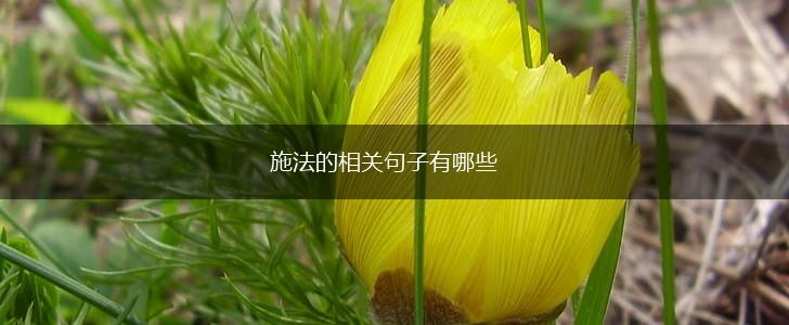 施法的相关句子有哪些,第1张
