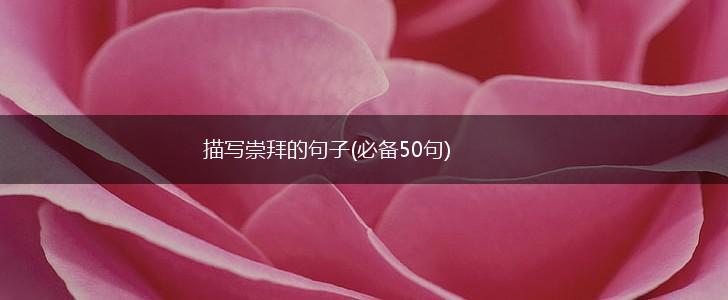 描写崇拜的句子(必备50句),第1张