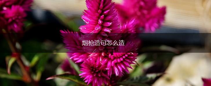 烟枪造句怎么造,第1张