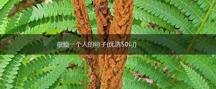 很烦一个人的句子(优选50句),第1张