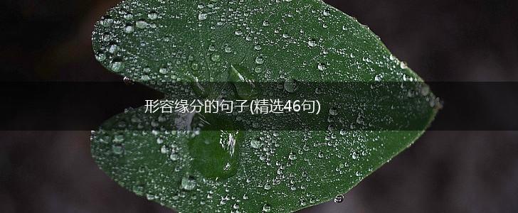 形容缘分的句子(精选46句),第1张