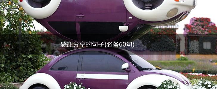 感谢分享的句子(必备60句),第1张