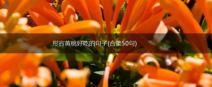 形容黄桃好吃的句子(合集50句),第1张