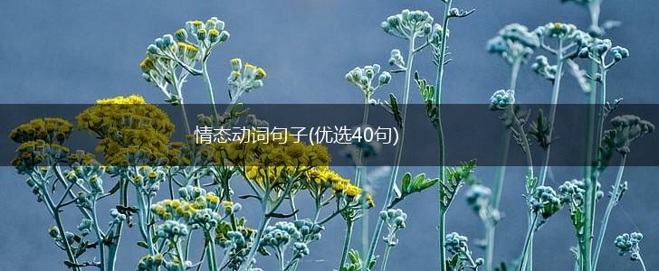 情态动词句子(优选40句),第1张
