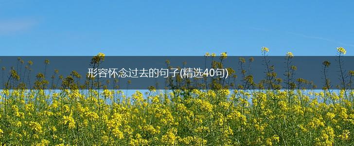 形容怀念过去的句子(精选40句),第1张