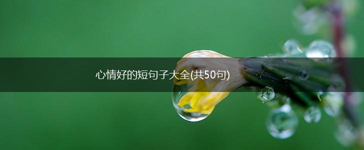 心情好的短句子大全(共50句),第1张