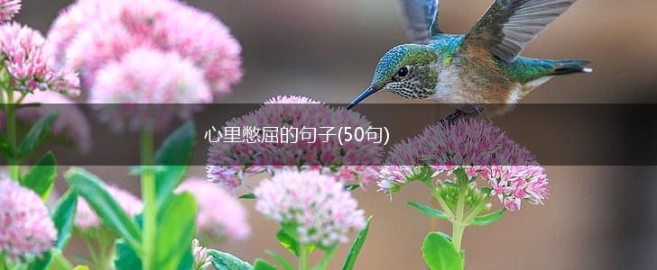 心里憋屈的句子(50句),第1张