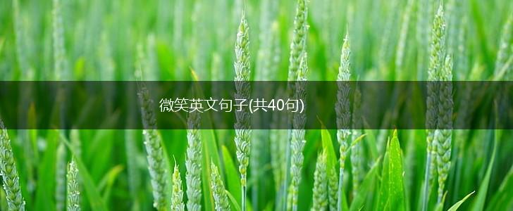 微笑英文句子(共40句),第1张