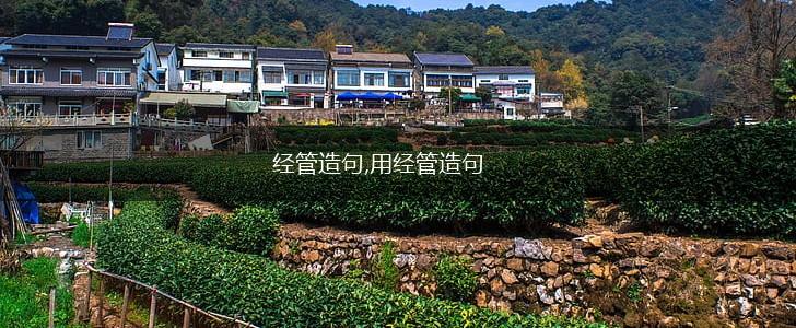 经管造句,用经管造句,第1张