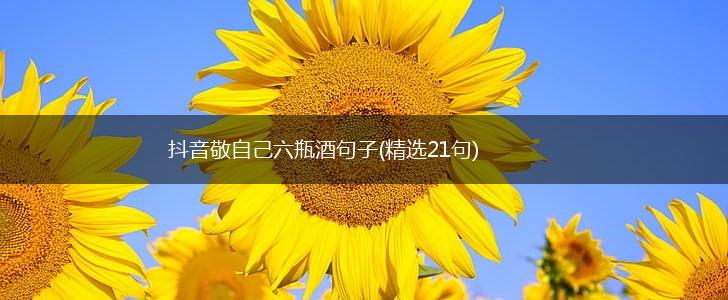 抖音敬自己六瓶酒句子(精选21句),第1张