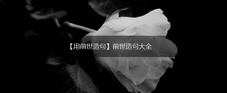 【用前世造句】前世造句大全,第1张