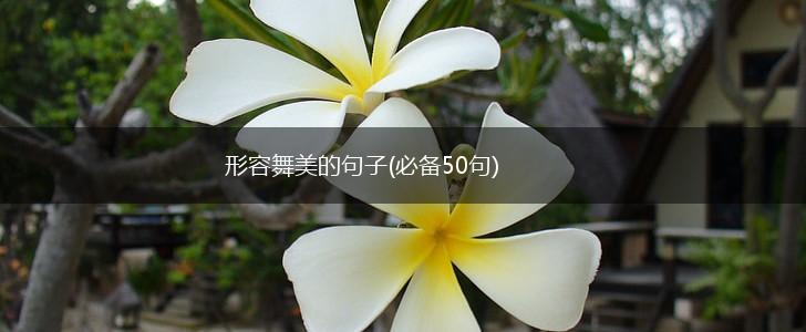 形容舞美的句子(必备50句),第1张