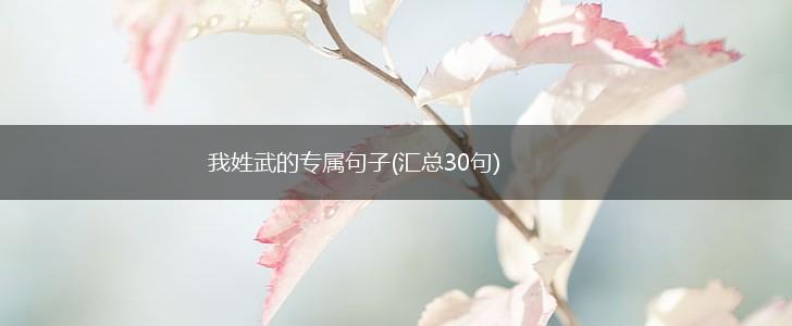 我姓武的专属句子(汇总30句),第1张