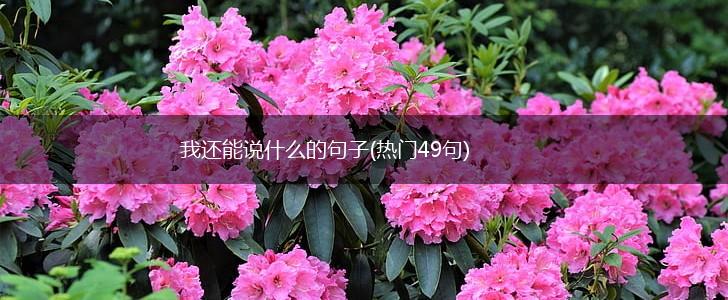 我还能说什么的句子(热门49句),第1张