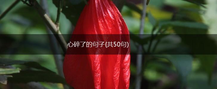心碎了的句子(共50句),第1张