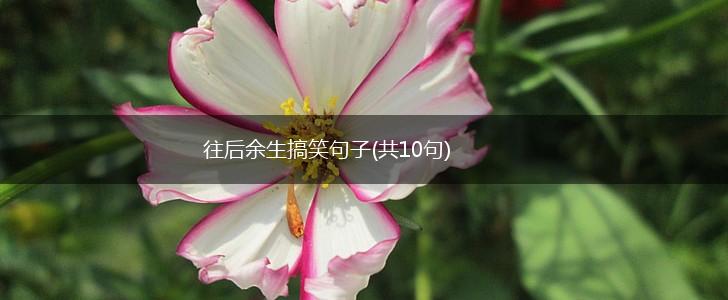 往后余生搞笑句子(共10句),第1张