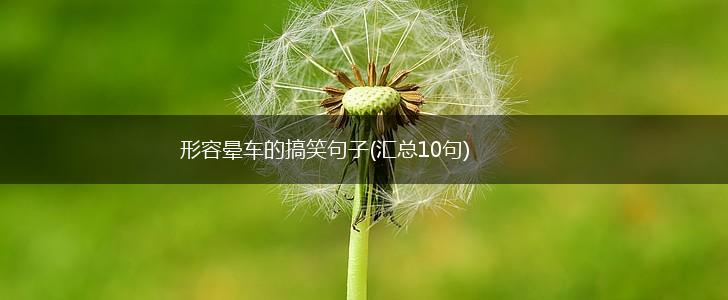 形容晕车的搞笑句子(汇总10句),第1张