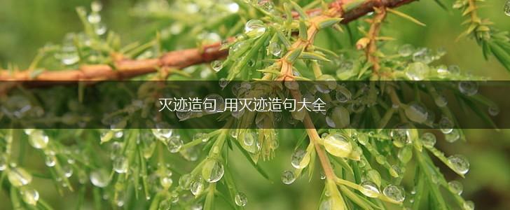 灭迹造句_用灭迹造句大全,第1张