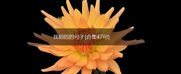 我相信的句子(合集47句),第1张